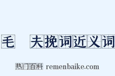 毛崈夫挽词近义词是什么意思的图片